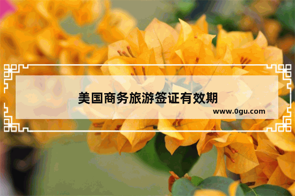 美国商务旅游签证有效期
