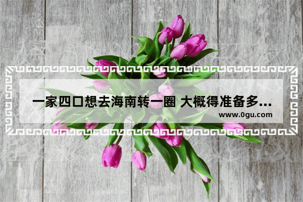 一家四口想去海南转一圈 大概得准备多少费用？还需要准备什么