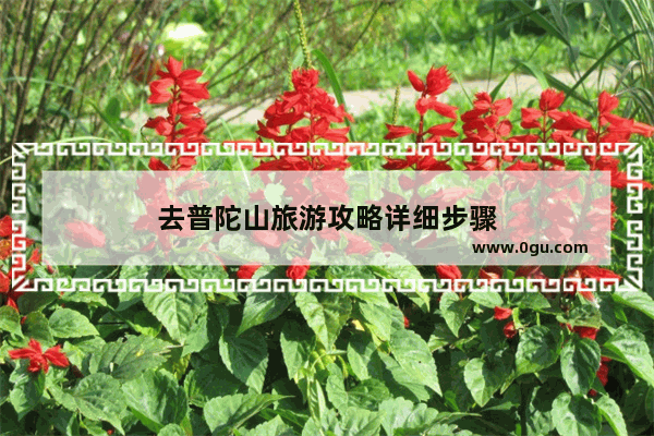 去普陀山旅游攻略详细步骤