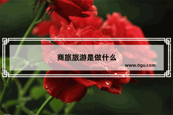 商旅旅游是做什么