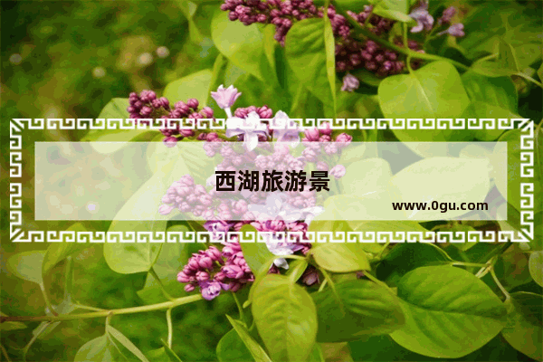 西湖旅游景