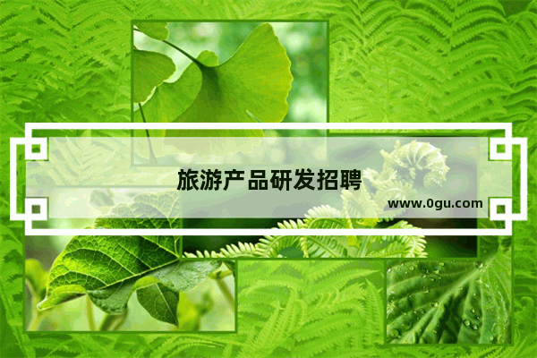 旅游产品研发招聘