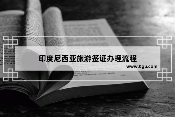 印度尼西亚旅游签证办理流程