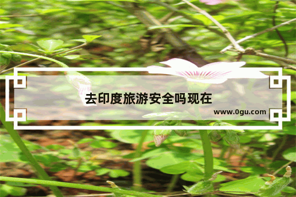 去印度旅游安全吗现在