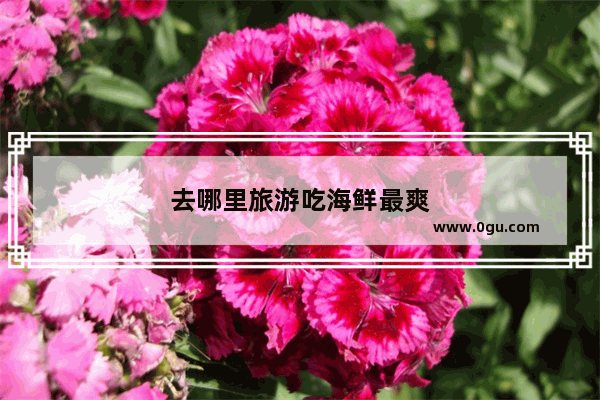 去哪里旅游吃海鲜最爽