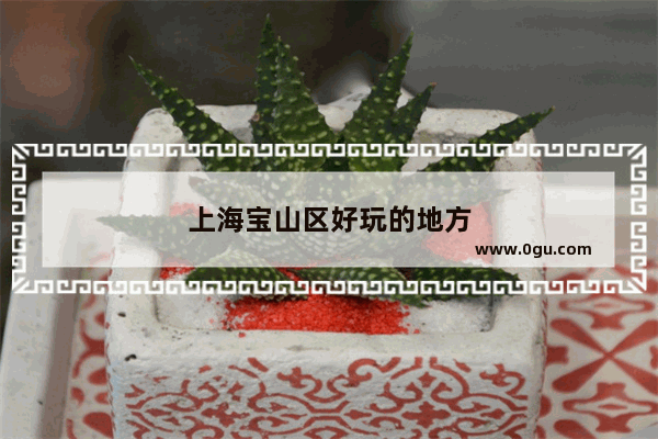 上海宝山区好玩的地方