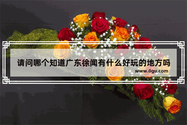 请问哪个知道广东徐闻有什么好玩的地方吗