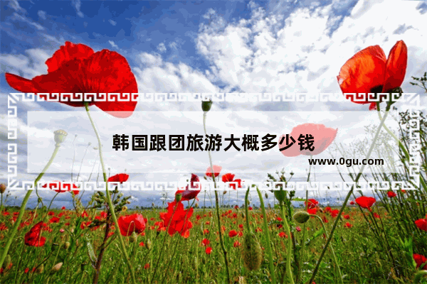 韩国跟团旅游大概多少钱