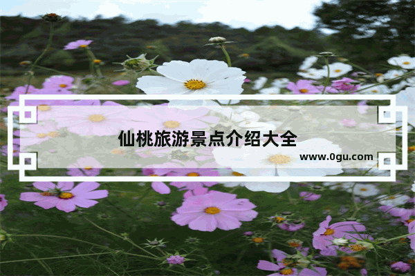 仙桃旅游景点介绍大全