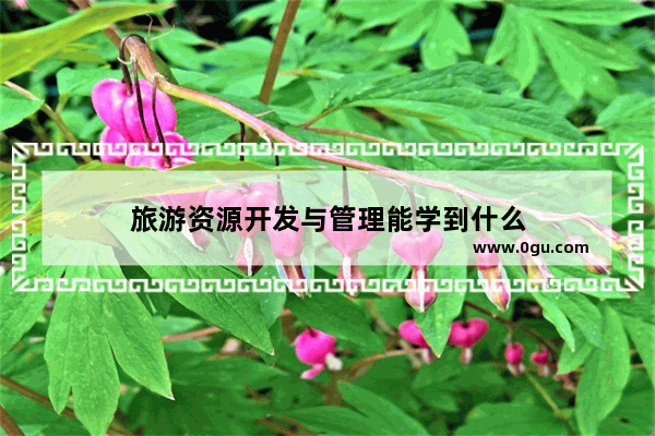 旅游资源开发与管理能学到什么