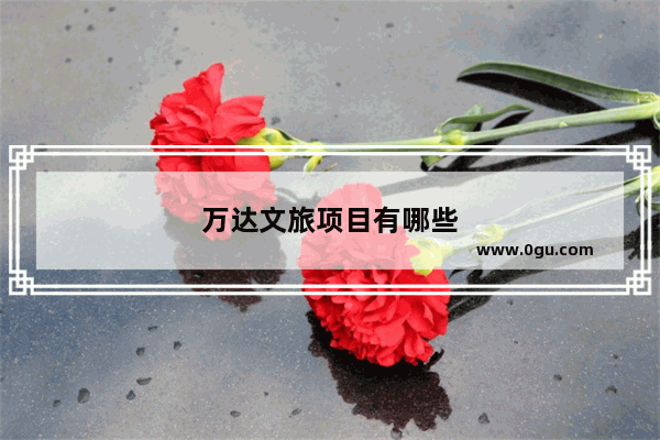 万达文旅项目有哪些