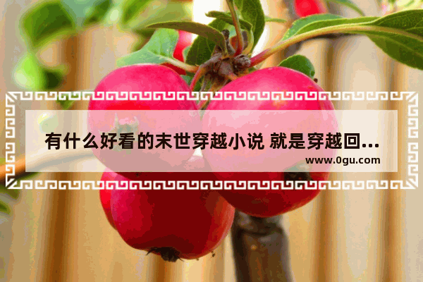有什么好看的末世穿越小说 就是穿越回危机前的世界 然后开始主角的开挂之旅
