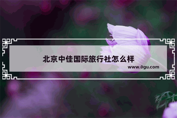 北京中佳国际旅行社怎么样
