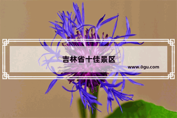 吉林省十佳景区