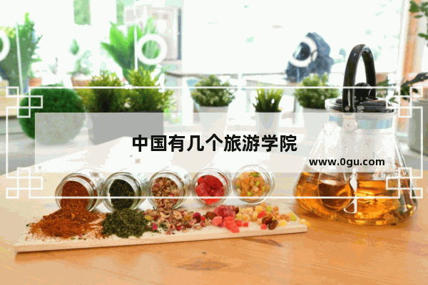 中国有几个旅游学院
