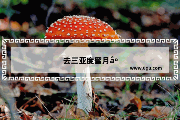 去三亚度蜜月应该如何做攻略？有哪些好的建议和需要注意的问题