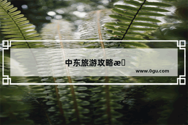 中东旅游攻略手抄报