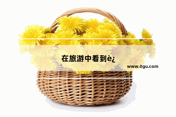 在旅游中看到过哪些有趣的事？求分享