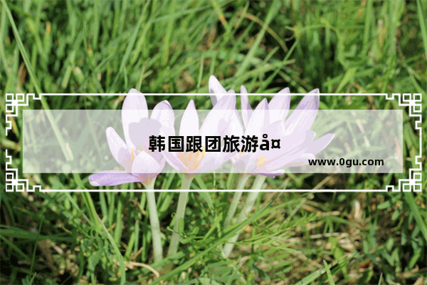 韩国跟团旅游大概多少钱?