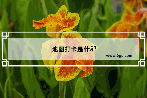 地图打卡是什么意思