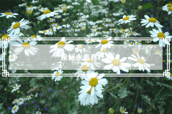 泉州永春有什么名胜古迹