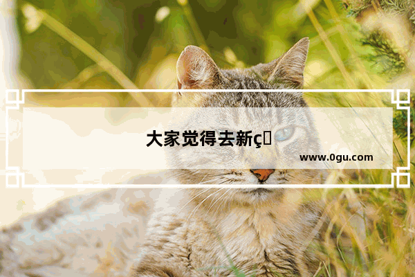 大家觉得去新疆工作怎么样