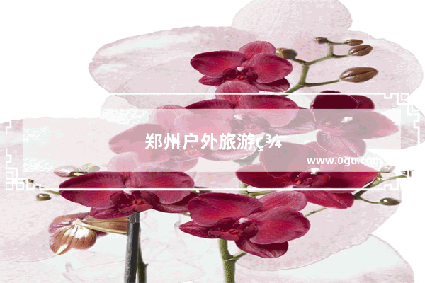 郑州户外旅游群