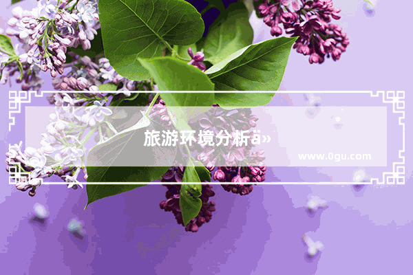 旅游环境分析从哪几个方面