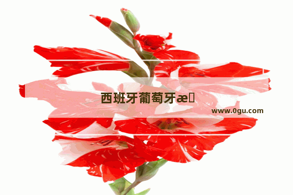 西班牙葡萄牙旅游攻略书最新版