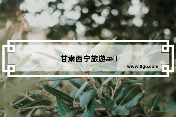 甘肃西宁旅游攻略
