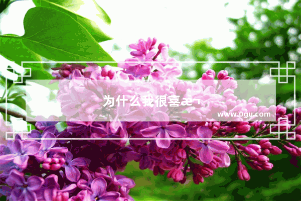为什么我很喜欢名胜古迹
