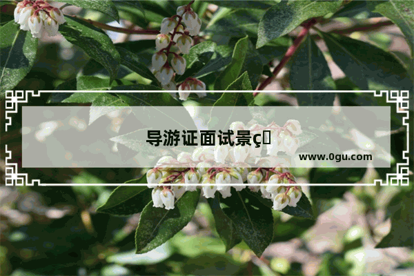 导游证面试景点抽签范围啥意思