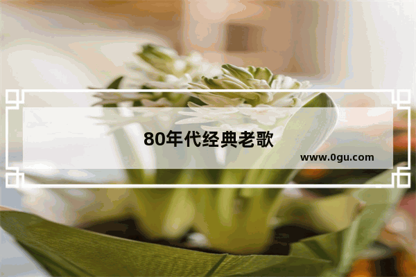 80年代经典老歌说说
