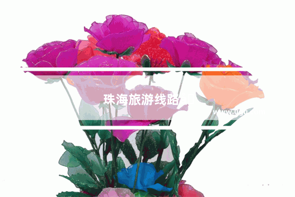 珠海旅游线路图