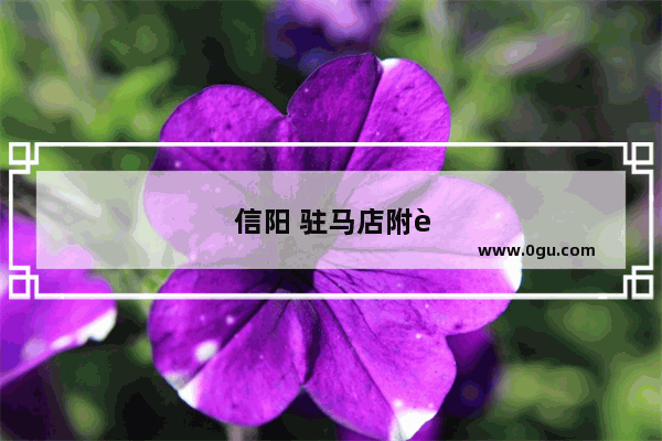 信阳 驻马店附近的旅游景点