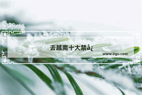 去越南十大禁忌
