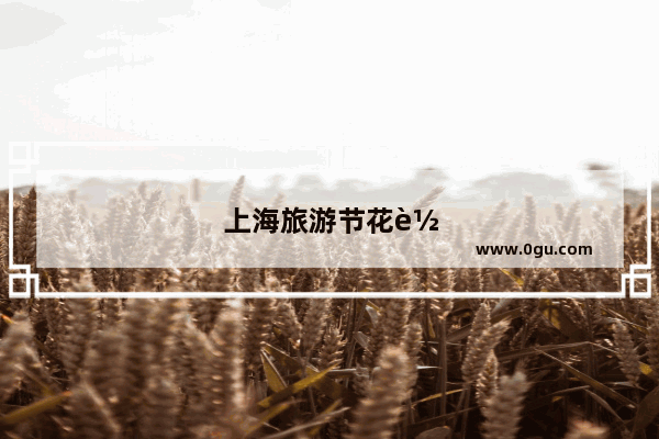 上海旅游节花车巡游路线