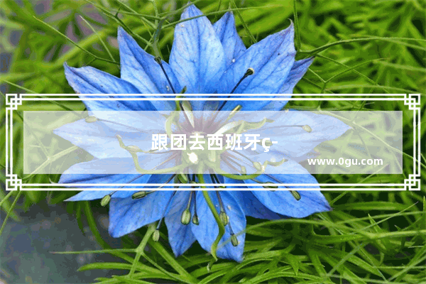 跟团去西班牙签证好办吗