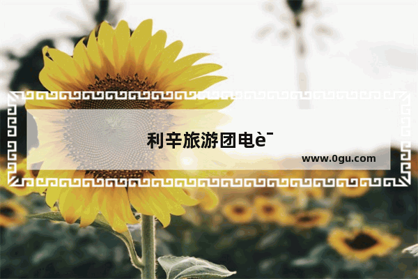 利辛旅游团电话号码