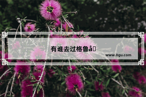 有谁去过格鲁吉亚 那里的真实生活是怎样的