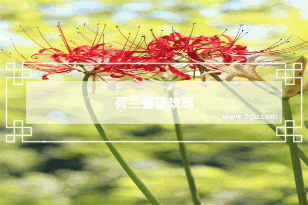 荷兰签证攻略