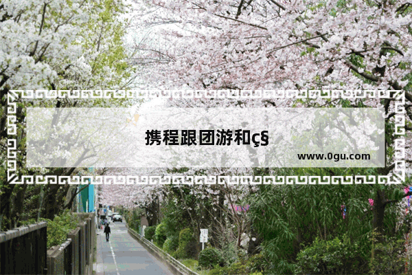 携程跟团游和私家团哪个好