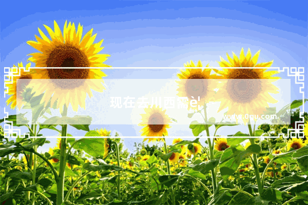 现在去川西需要注意什么