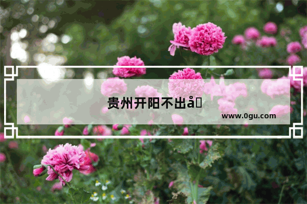 贵州开阳不出名的好地方是哪里