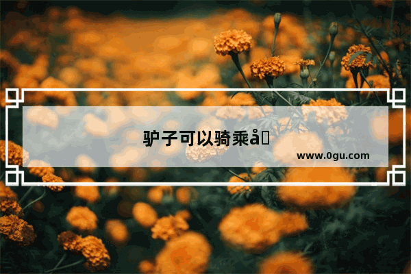 驴子可以骑乘吗