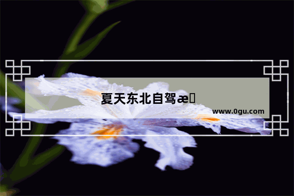 夏天东北自驾旅游攻略最佳路线