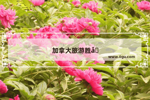 加拿大旅游胜地哪个最出名