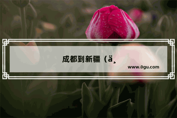 成都到新疆（主要） 30~40天 怎样规划旅游线路
