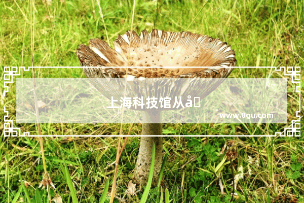 上海科技馆从几号门进好