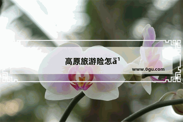 高原旅游险怎么买